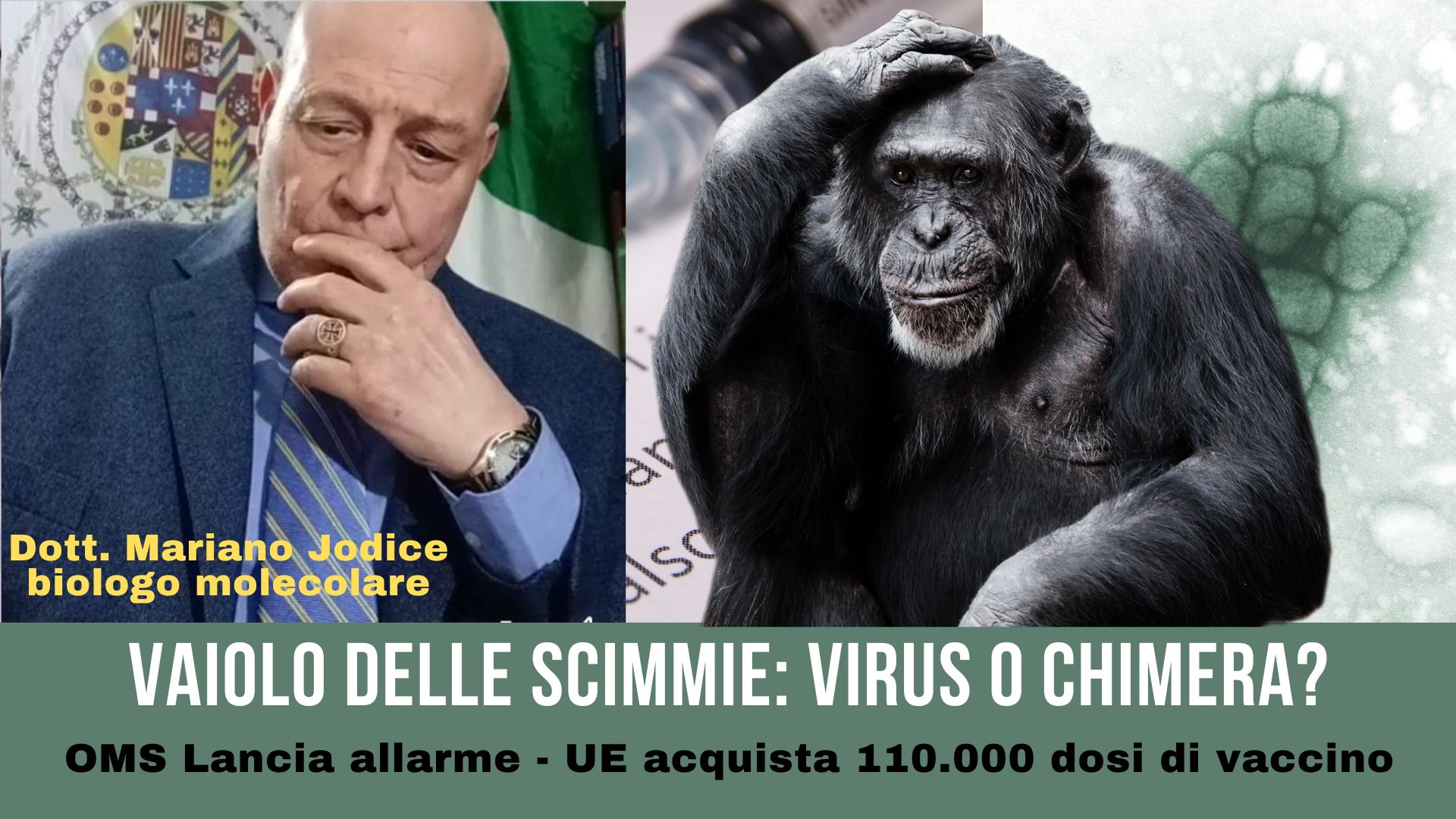 VAIOLO DELLE SCIMMIE VIRUS O CHIMERA